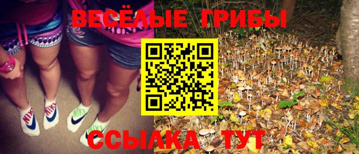 Псилоцибиновые грибы мухоморы Курган